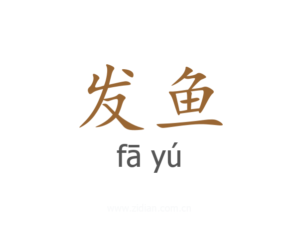 发鱼