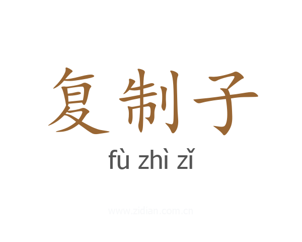 复制子