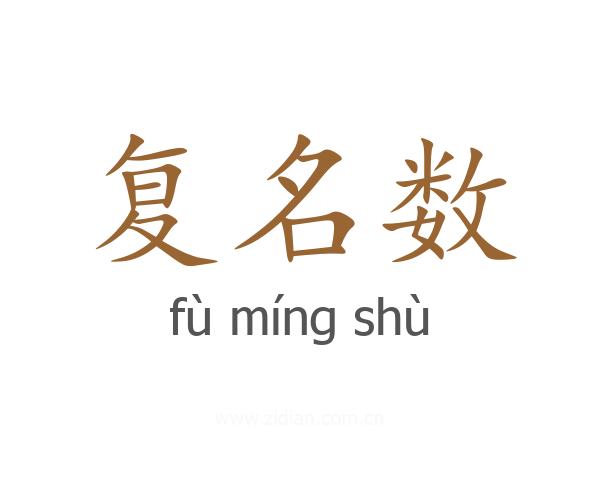 复名数