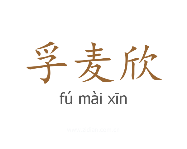孚麦欣