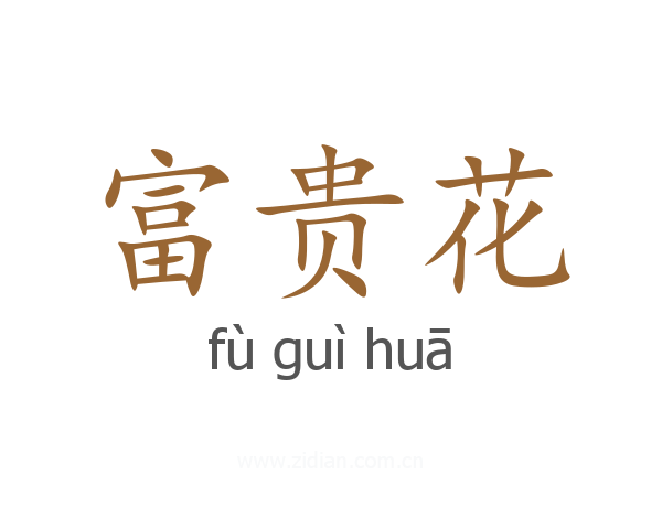 富贵花