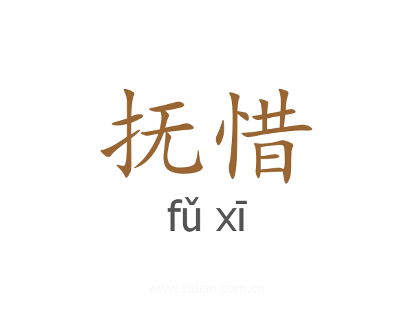 抚惜
