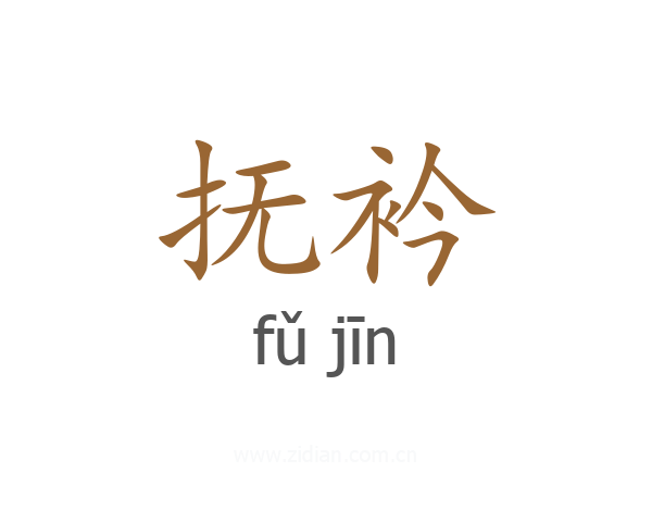 抚衿