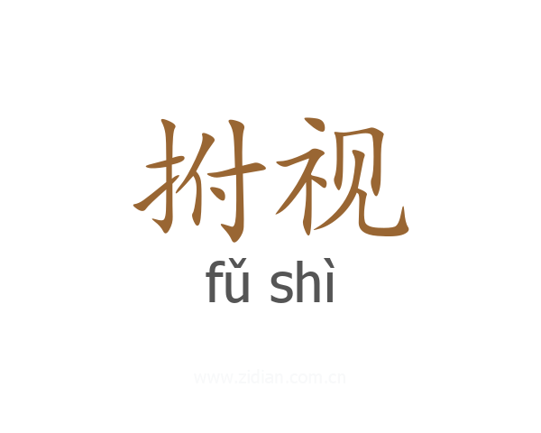 拊视