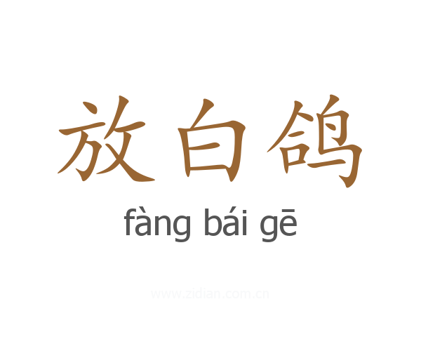 放白鸽