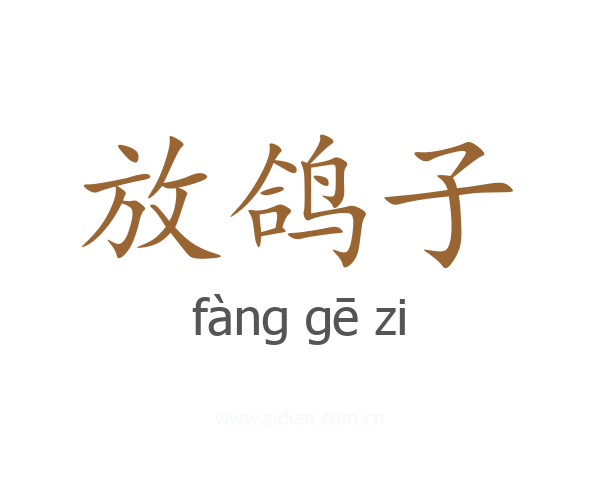 放鸽子