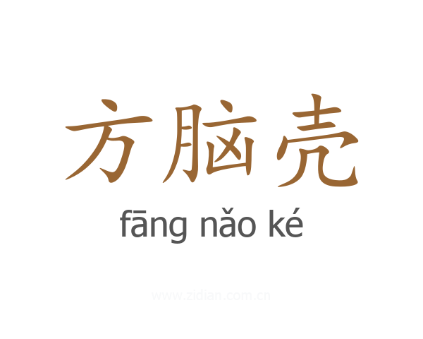 方脑壳