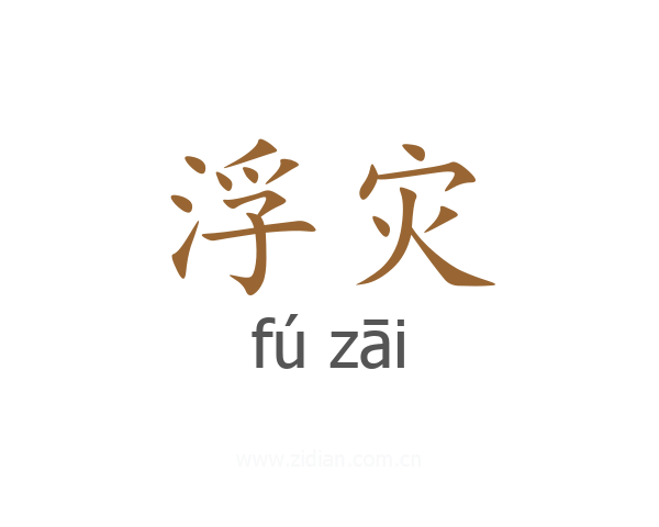浮灾