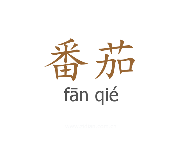 番茄