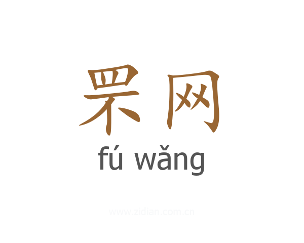 罘网