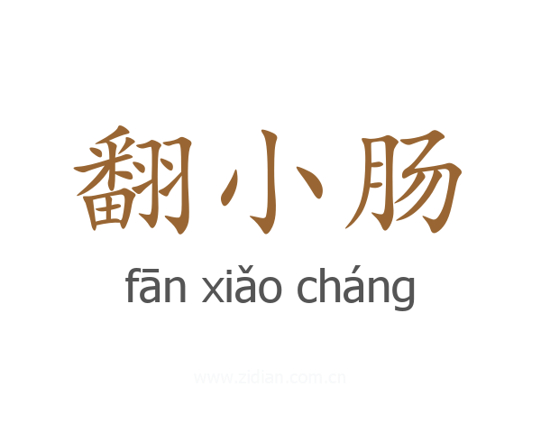 翻小肠