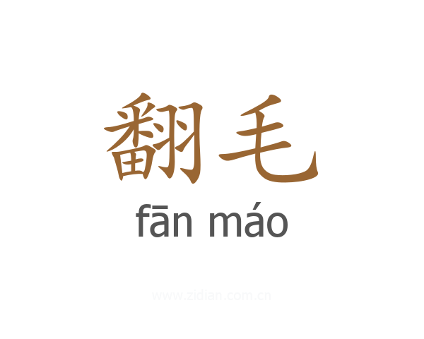 翻毛