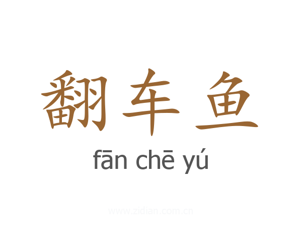 翻车鱼