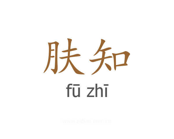 肤知