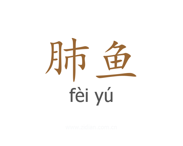 肺鱼
