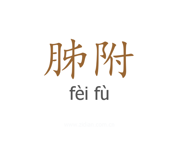 胏附