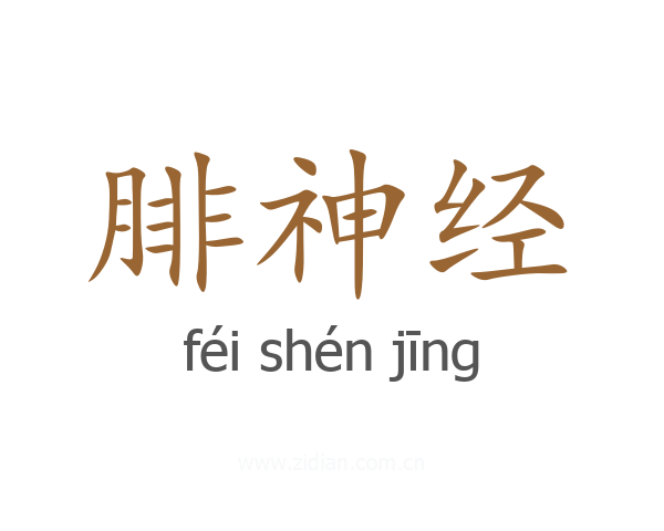腓神经