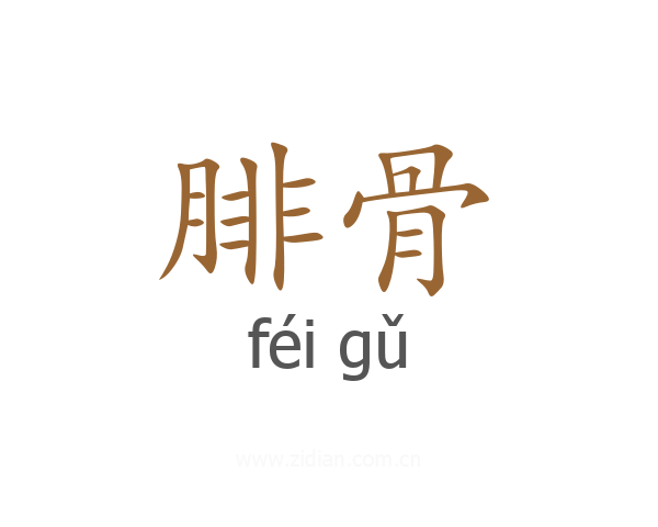 腓骨