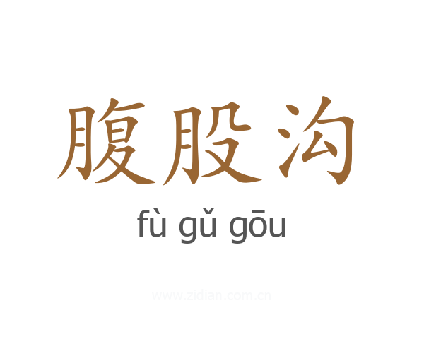 腹股沟