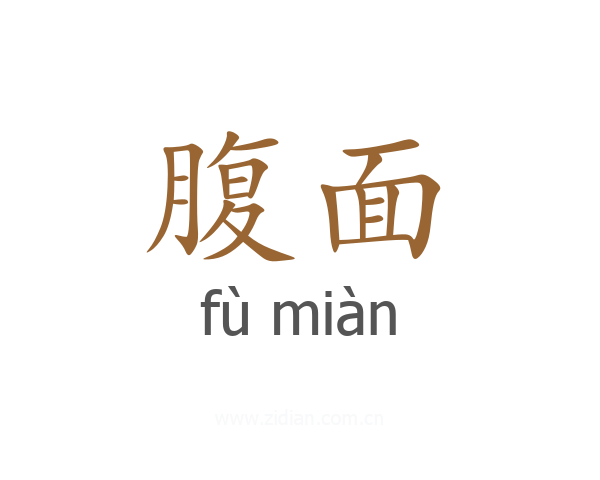 腹面