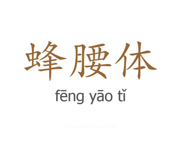 蜂腰体