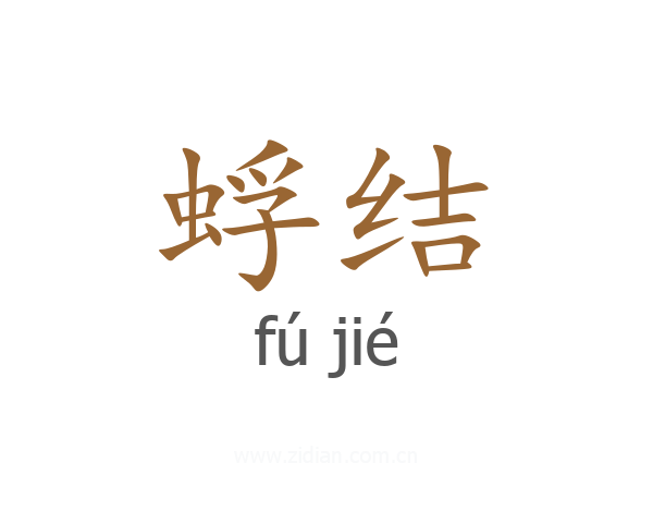 蜉结