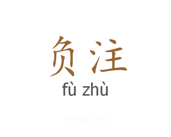 负注