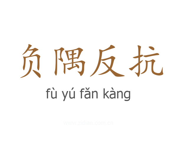 负隅反抗