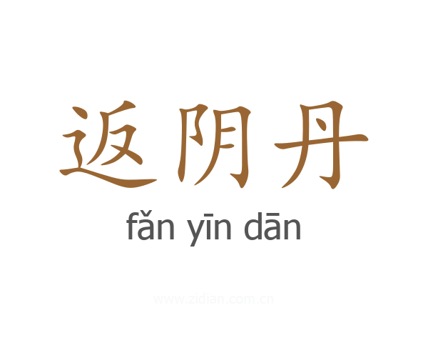 返阴丹
