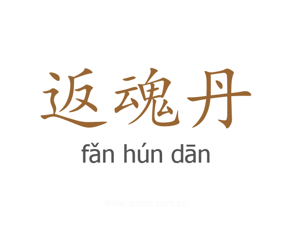 返魂丹
