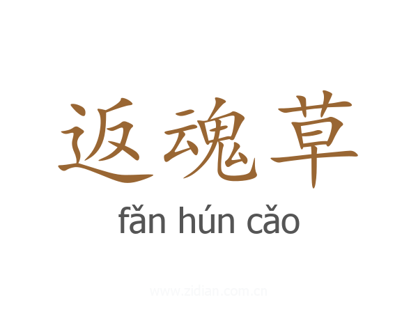 返魂草
