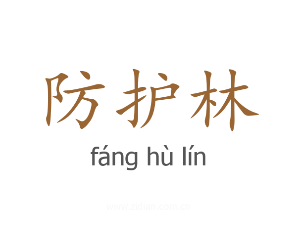防护林