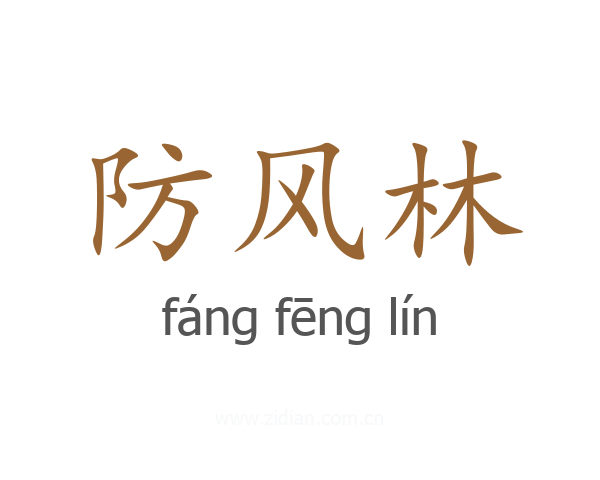 防风林