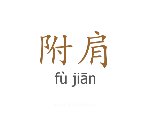 附肩