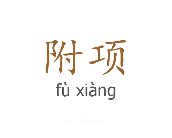 附项