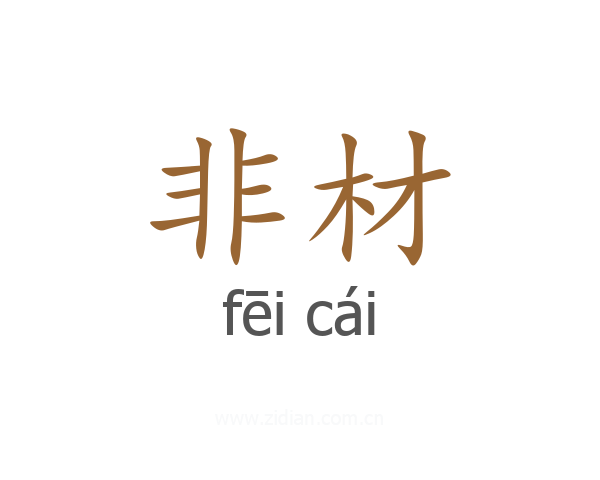 非材