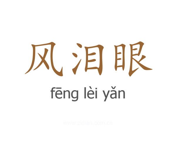 风泪眼