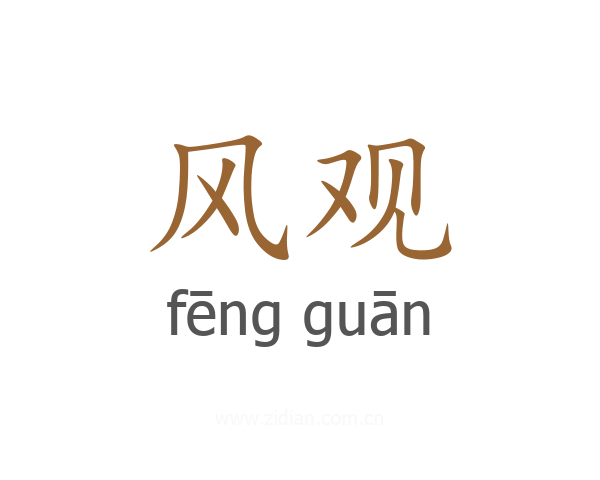 风观