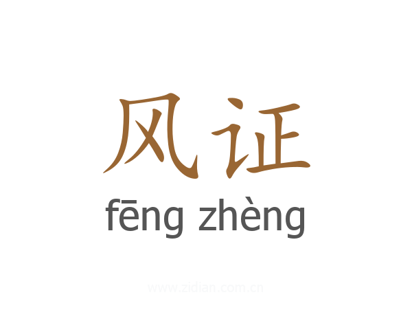 风证