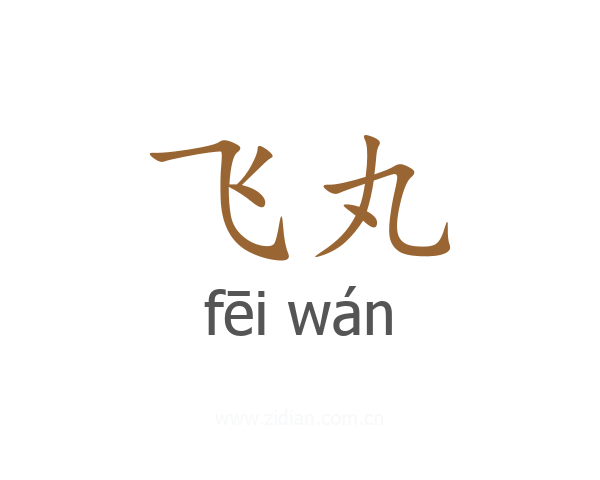 飞丸
