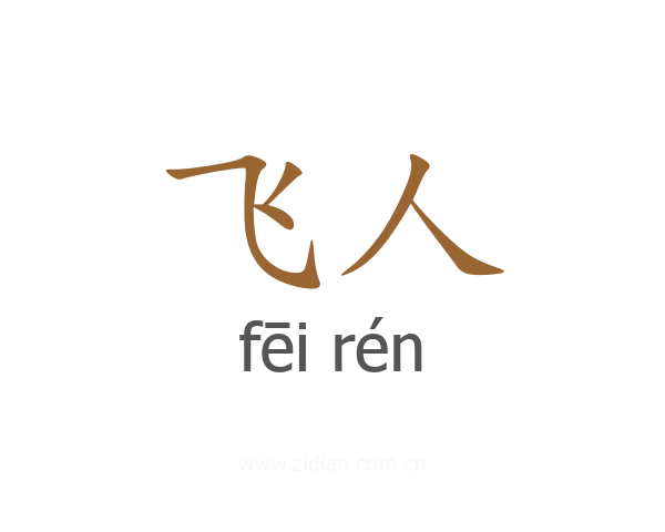 飞人