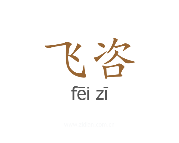 飞咨