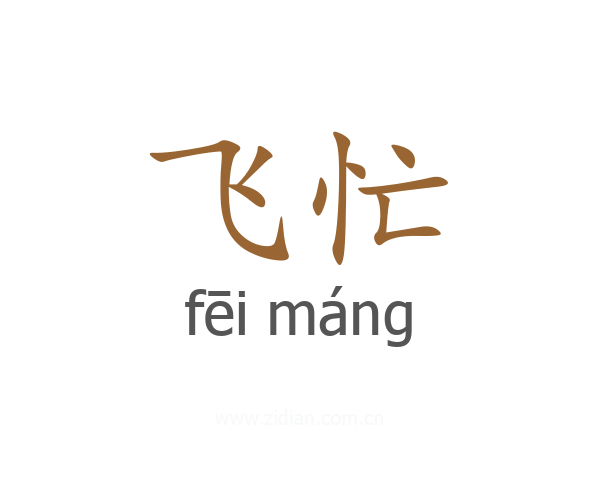 飞忙