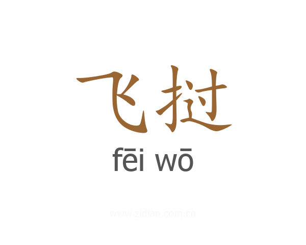 飞挝