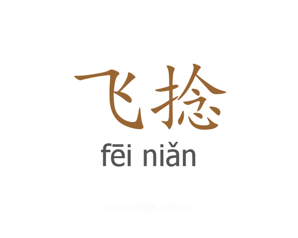飞捻