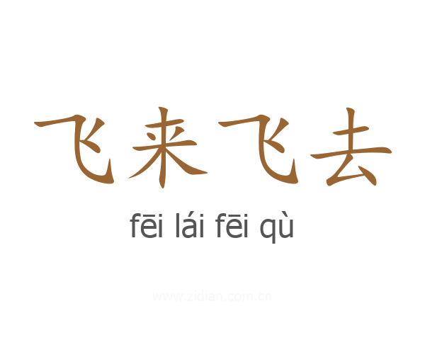 飞来飞去