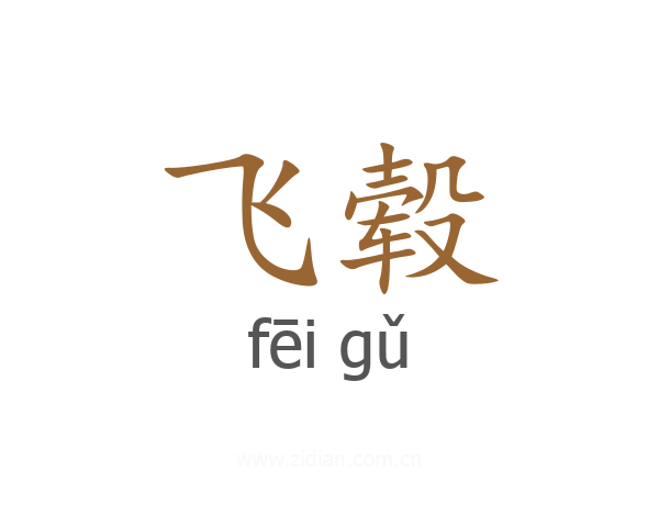 飞毂