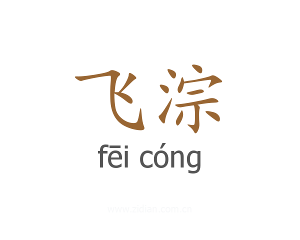 飞淙