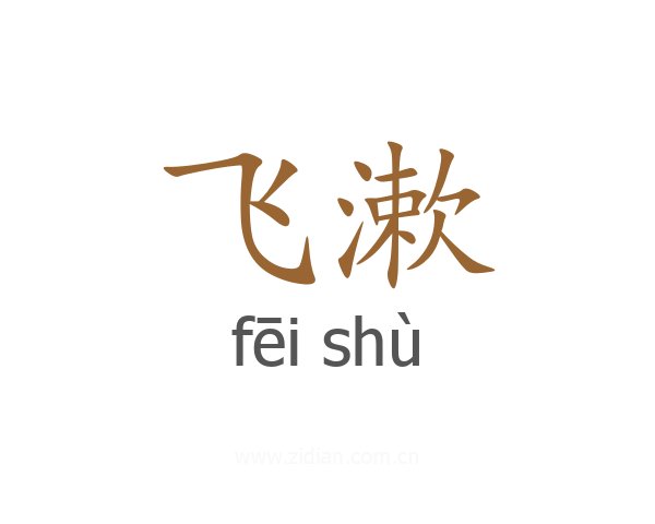 飞漱