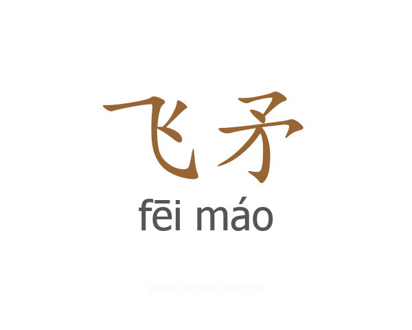飞矛